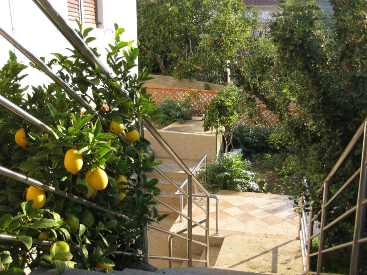 Apartments Martina Primošten Dış mekan fotoğraf